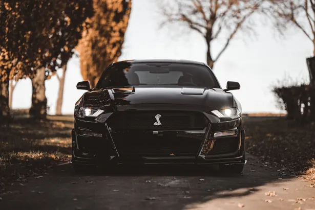 Casino Golden Palace Android/iOS rakendus